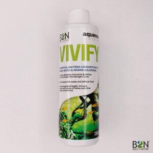 Vivify